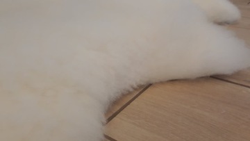 КРАСИВАЯ ОВЧИНКА, РАЗМЕР XL, БЕЛАЯ/ECR