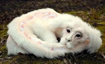 Luck Dragon Falkor Doll Плюшевая мягкая кукла по имени