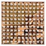 MODUŁ 338S00411 U5102 U4902 IPHONE XS/XS MAX/XR