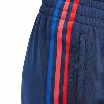 Spodnie młodzieżowe Adidas Adicolor 3D Trefoil Track Pants GD2703