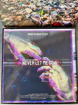 Never Let Me Go 2LP/CD/Box Set/MC Placebo: Never Let Me Go DLX | LTD | CLR