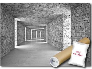 FOTOTAPETA WINYLOWA TUNEL KORYTARZ 3D 368x254