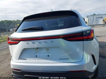 Lexus NX II 2024 Lexus NX 2024 Lexus NX NX 250 Premium FWD 2.5 Benzyna 203KM, zdjęcie 14