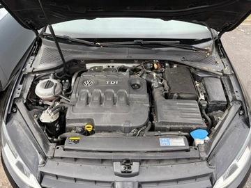 Volkswagen Golf VII Hatchback 3d 1.6 TDI BlueMotion 110KM 2015 Volkswagen Golf VII 1.6TDI 110KM Super Stan! 2015, zdjęcie 31