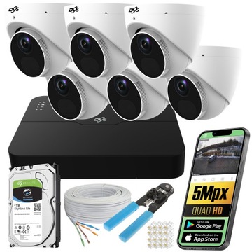 ZESTAW DO MONITORINGU 6 ZEWNĘTRZNE KAMERY POE IP 5Mpx KOPUŁKA DVS 1TB MIKRO
