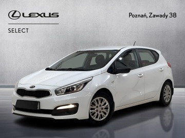 Kia Ceed II Hatchback 5d Facelifting 1.4 DOHC 100KM 2017 Kia Ceed Cee'd 1.4 S II (2012-) Kia Cee'd, 1.4 Ben