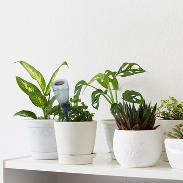 System nawadniania kropelkowego Stawki do samodzielnego podlewania roślin