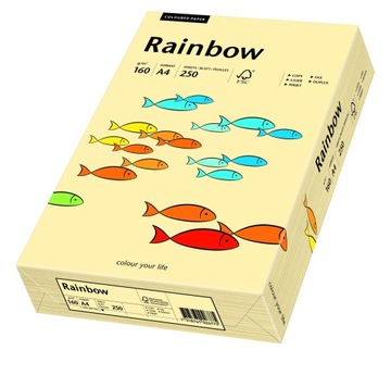 Papier ksero kolorowy A4 160g nr 06 kość słoniowa