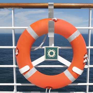 Wieszaki prowadzące rośliny Preserver Ring Hook