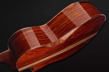 Furch Red Deluxe Gc-LC LR Baggs SPA + ЧЕХОЛ