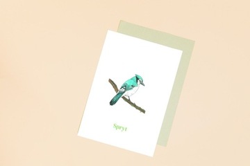 По тропе сильных сторон. Терапевтическая игра - Эдуковиско