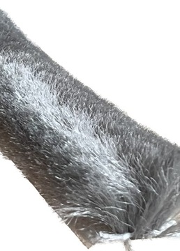 Самоклеящийся щеточный уплотнитель для москитных сеток.