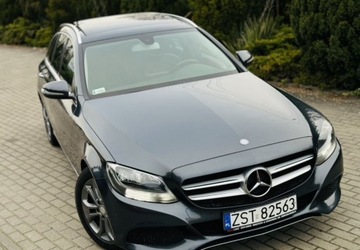 Mercedes Klasa C W205 2015 Mercedes-Benz Klasa C Automat Bushmester Panor..., zdjęcie 11