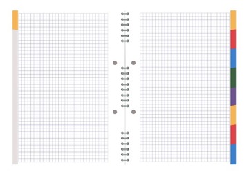 KOŁOZESZYT TOP 2000 STUDENT BOOK B5 160 kartek KRATKA 5 kolorowych zakładek
