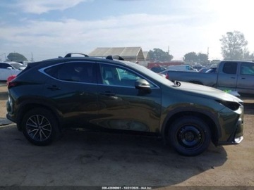 Lexus NX II 2024 Lexus NX 2024 Lexus NX 250 FWD 2.5 Benzyna 203KM, zdjęcie 5