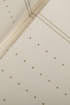 Field Notes Vintage DotRule 3 Pack