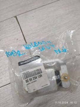 10192. KOLEOS II PANT DVEŘE LEVÝ PŘEDNÍ 809923413R