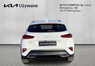 Kia XCeed Crossover Facelifting 1.5 T-GDi 160KM 2023 Kia XCeed Zakup Zdalny KIA XCEED 1.5 T-GDI 160KM Business Line 1.5 160KM, zdjęcie 16
