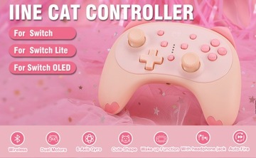 IINE kawaii PAD CONTROLLER PRO КОНТРОЛЛЕР ДЛЯ ПЕРЕКЛЮЧАТЕЛЯ