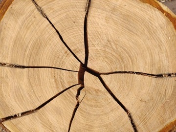Кора коптильная древесина CHERRY Cherry 15кг