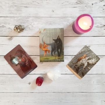 БАРБЬЕРИ ФЭНТЕЗИ КОШКИ ОРАКУЛ ТАРО ИГРАЛЬНЫЕ КАРТЫ НАБОР