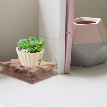 Коллекционирование Показанный алтарный стол