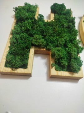 Любые буквы из мха высотой 23 см, буква