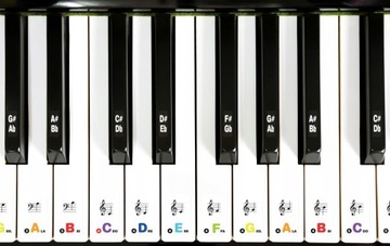 Наклейки на КЛАВИАТУРУ, баннер на фортепиано ЛАМИНИРОВАНИЕ