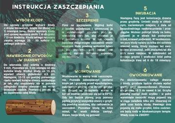 ŻÓŁCIAK SIARKOWY - GRZYBNIA NA KOŁKACH 30 SZT