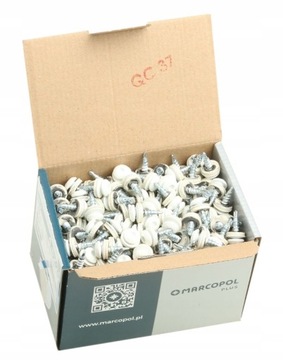 RAL 9010 WKRĘTY FARMERSKIE FARMERY 4,8x20mm TORX 250szt
