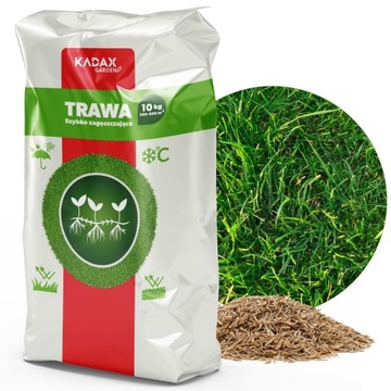 TRAWA UNIWERSALNA SZYBKO ZAGĘSZCZAJĄCA 10KG 400m2