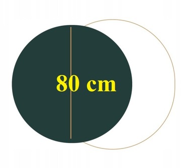 LUSTRO LED 80 cm COB 480 LED/1 m OKRĄGŁE LEDOWE WODOODPORNY ZASILACZ IP67