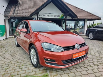 Volkswagen Golf VII Hatchback 3d 1.4 TSI BlueMotion Technology 125KM 2015 Volkswagen Golf VII 1.4 TSI Lounge + DSG