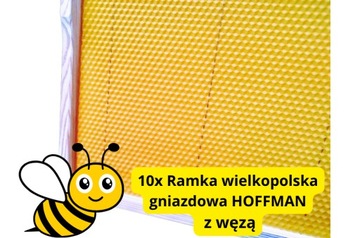Ramki Wielkopolskie gniazdowe z węzą FV hoffman ramka wielkopolska