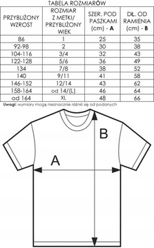Koszulka - Mam sekret... Będę starszą siostrą, miksuj kolory r. 134