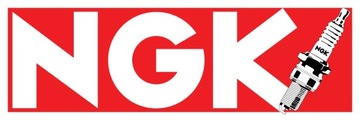 ŚWIECA ZAPŁONOWA NGK 6263
