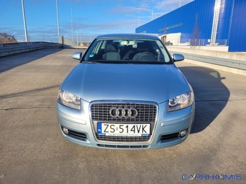 Audi A3 8P Hatchback 3d 1.6 102KM 2007 Audi A3 3-drzwiowe 1.6 MPi nowe opony Serwis Bezwypadkowy 1.6 Benzyna 102KM, zdjęcie 8