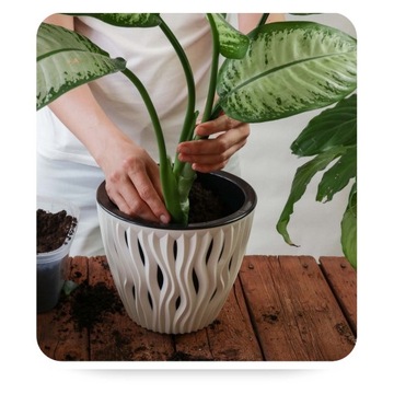 Почвенный субстрат для зеленых растений Palm Dracen Juk