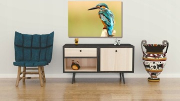 КАРТИНА 30х40 животные КОШКА СОБАКА ОРЛ большой выбор