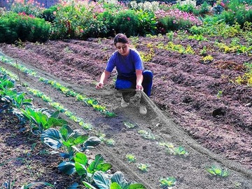 СЕТКА ЗАЩИТНАЯ ОТ ПТИЦ STRONG BIRDS 4х6м