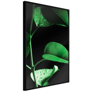 Obrazy do Sypialni Rosa Woda 20x30 Rama czarna