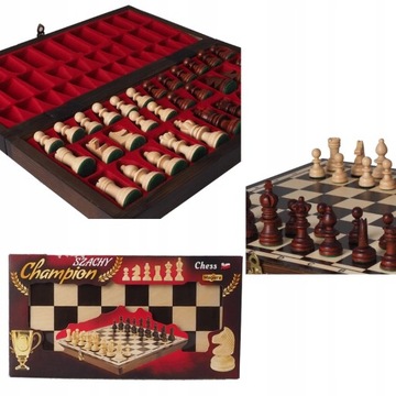 Чемпион по шахматам