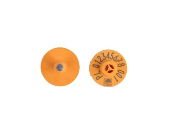 Серьги Allflex для свиней, 100 шт. ферма
