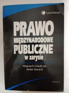 Prawo międzynarodowe publiczne w zarysie 2006