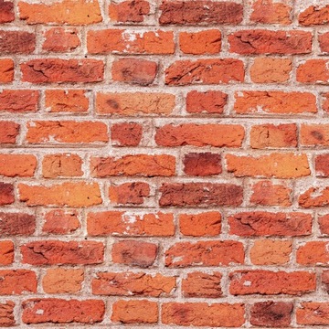 Tapeta 3D nowoczesna STARA CEGŁA winylowa na flizelinie MUR loftowa 290x100
