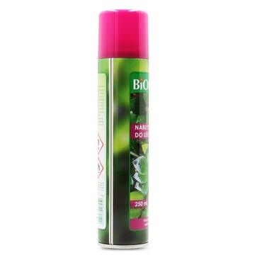 PLANT FLOWER LEAF GLOSSEN 250мл Букет Спрей GLOSS Полировка