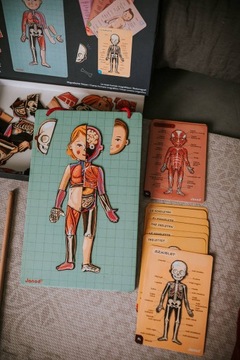 МАГНИТНАЯ ПАЗЛ ЧЕЛОВЕЧЕСКОЕ ТЕЛО 7+ ЯНОД