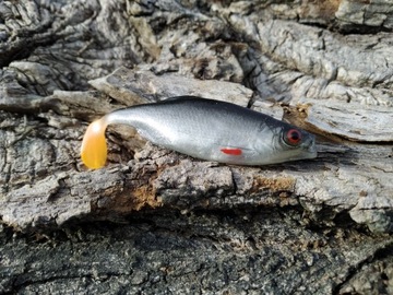 SEWRO CUSTOM PŁOĆ 6,5cm kopyto