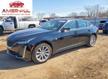 Cadillac 2024 Cadillac CT5 Luxury 2024 2.0 Benzyna 237KM