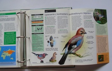 PTAKI POLSKI Издания Атлас